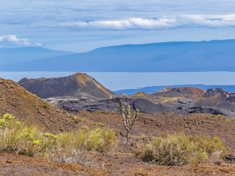 volcan-sierra-negra-chico-isabela-galapagos