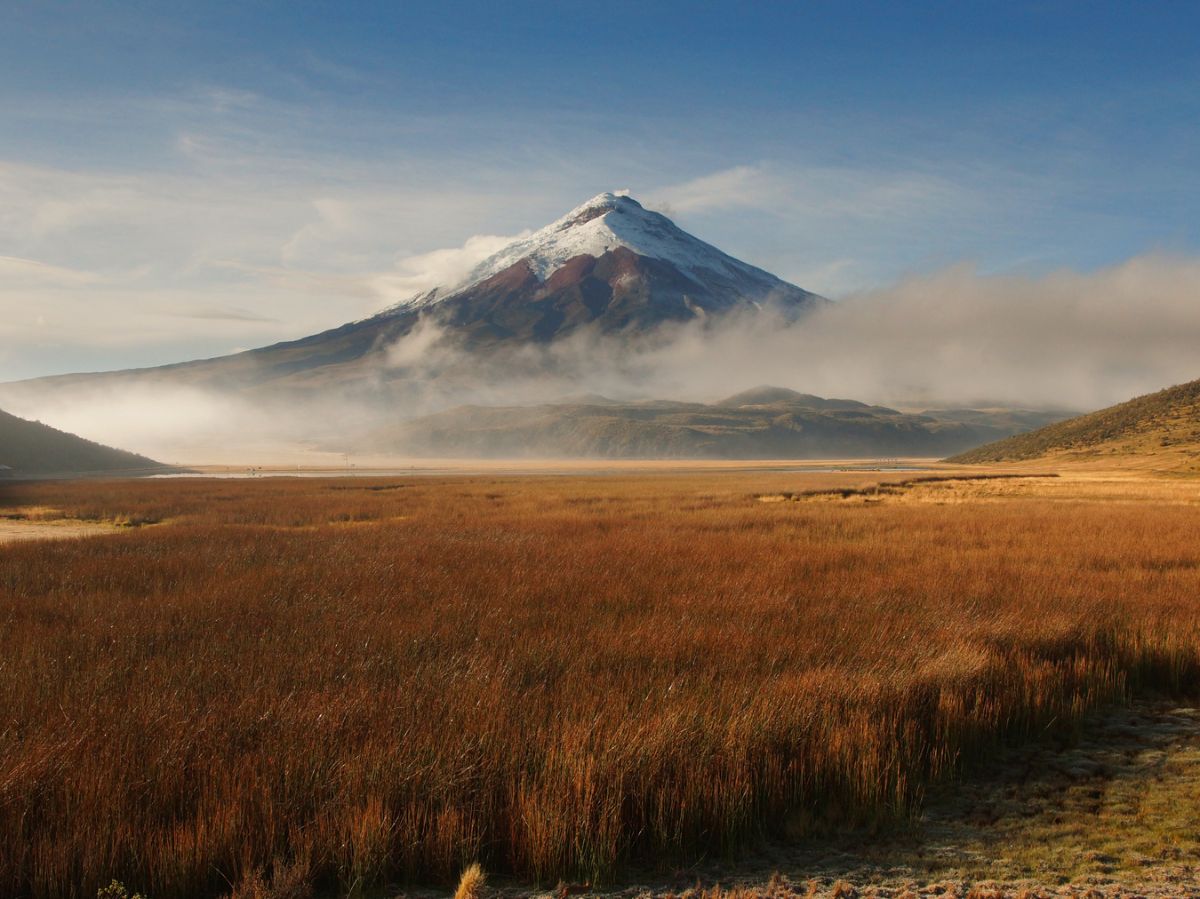 Cotopaxi