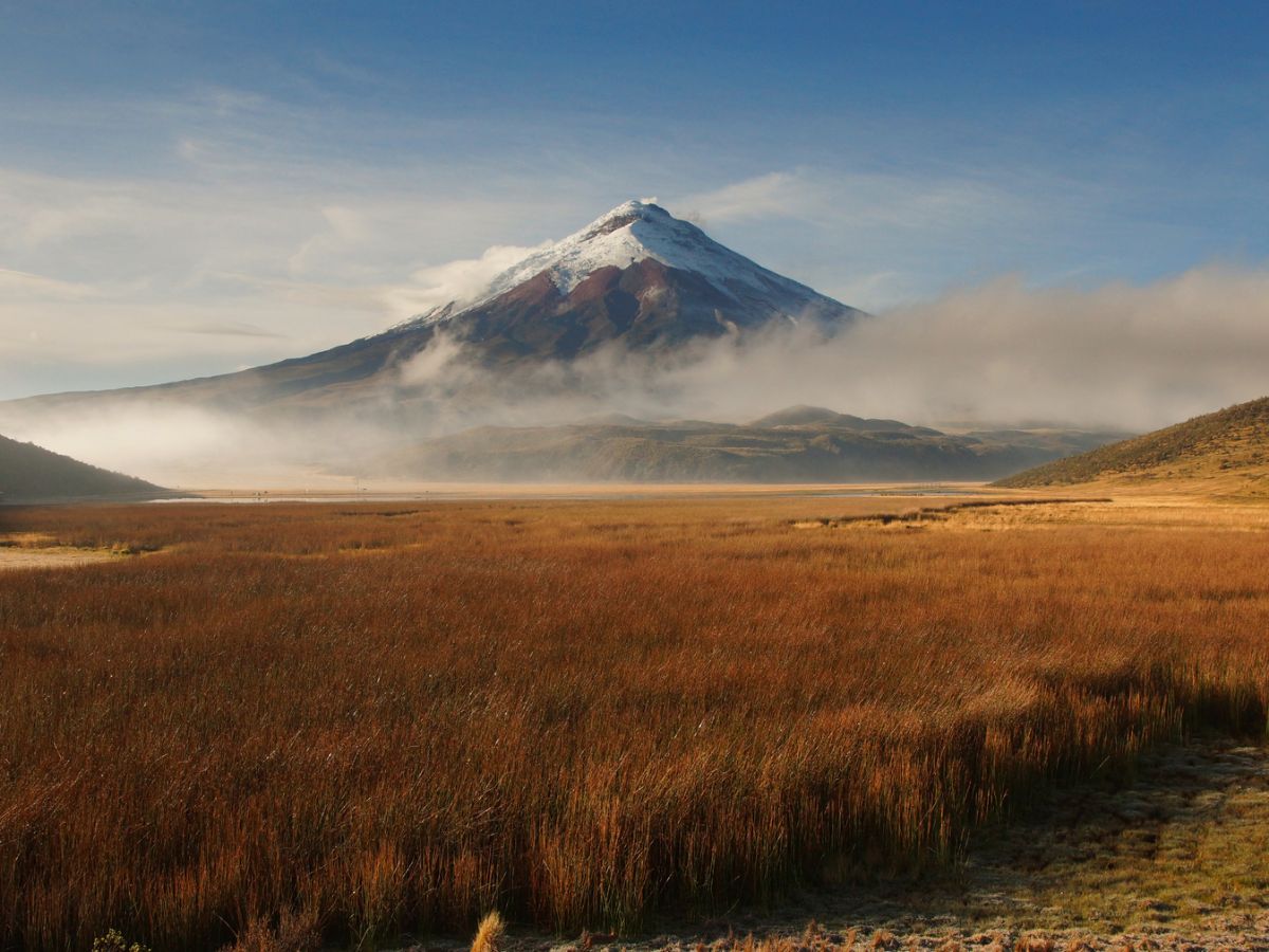 Cotopaxi Panorama