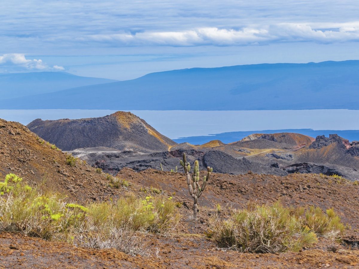 volcan-sierra-negra-chico-isabela-galapagos