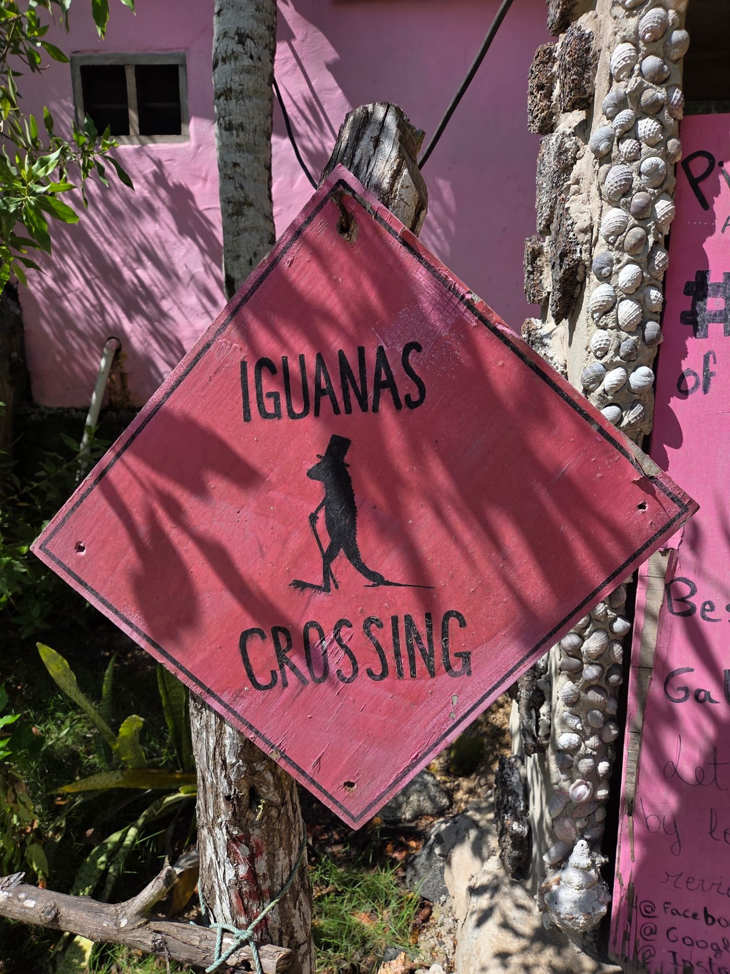 Guanas Crossing Gal