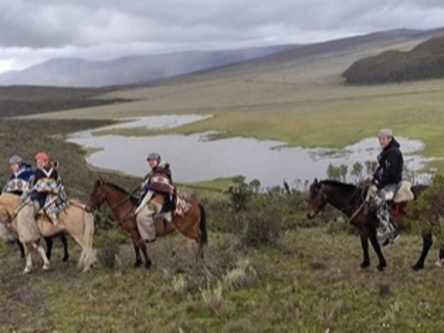 Reisegruppe reitet durch das Páramo am Cotopaxi