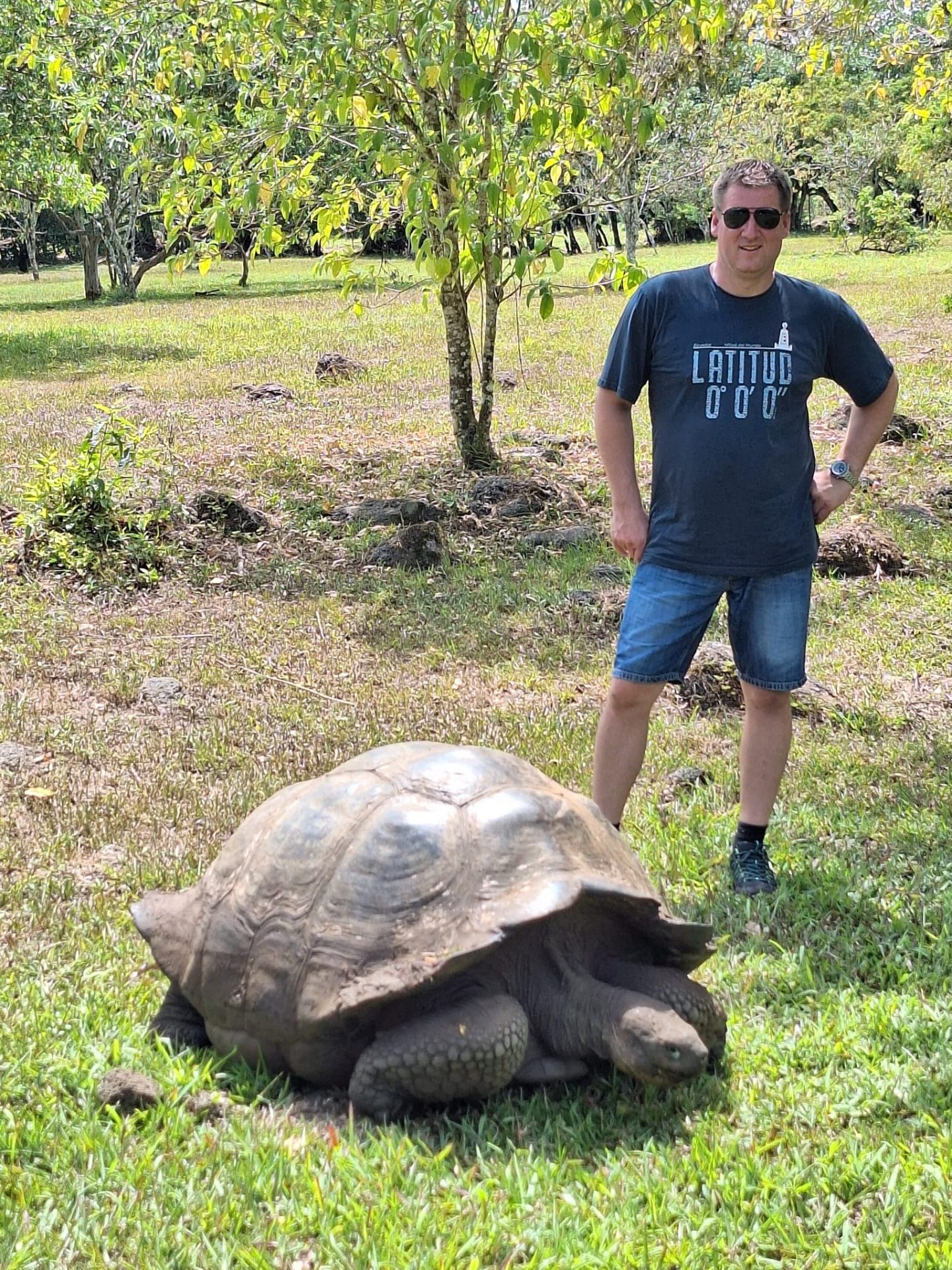 Riesenschildkröte auf der Hochweide der Galápagos