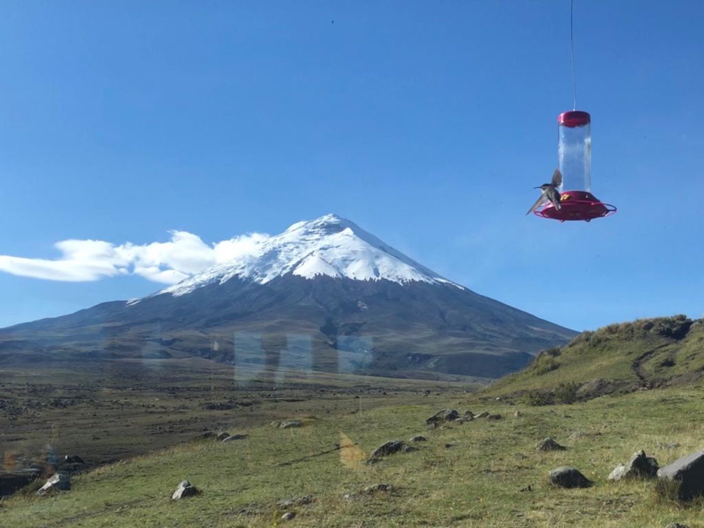 Der Cotopaxi von Tambopaxi aus gesehen